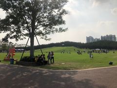-迪茵湖田家舍生态农场