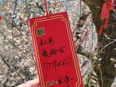 -秦岭终南山世界地质公园翠华山景区