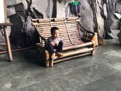 -楠溪江风景名胜区