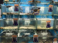 -小船渔村•大连菜•大连焖鱼(黄河路店)