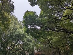 -上海宋庆龄故居纪念馆