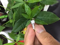 -威德钻石-克拉钻大本营(南京东路店)