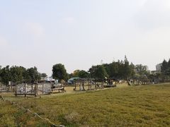-田园东方蜜桃村的田野营地