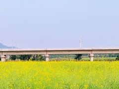 -光明小镇欢乐田园