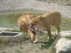 -西安秦岭野生动物园