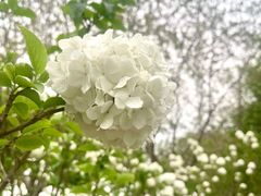 -天津自然博物馆