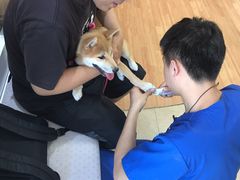 -宠福鑫动物医院·动物疾病诊疗中心(天通苑店)