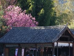 -天龙八部武侠城