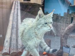 -青藏高原野生动物园