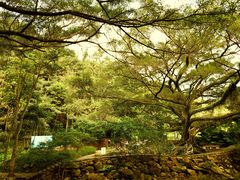 -广州市石门国家森林公园