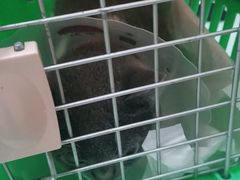 -宠福鑫康馨动物医院·骨科·眼科