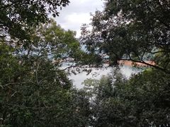 -广州市流溪河国家森林公园
