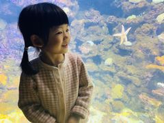 -江和美海洋公园