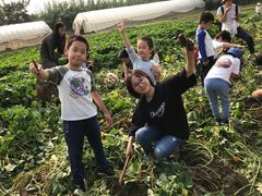 -田园东方蜜桃村的田野营地