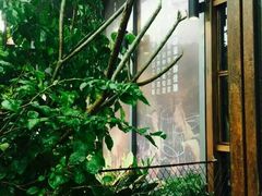 -胡桃里音乐酒馆(万科城市广场店)