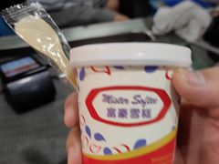-富豪雪糕车流动点(尖沙咀店)