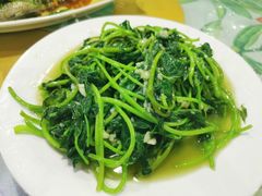 -四姑娘川味海鲜(八爪鱼店)