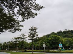-飞凤山奥体公园
