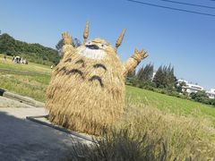 -嘉北郊野公园