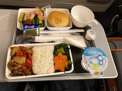 -新加坡航空公司(ION)