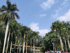 -深圳仙湖植物园