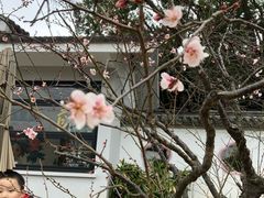 -无锡梅园公园