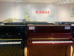 -柏斯音乐艺术中心·钢琴·吉他(世纪金源店)