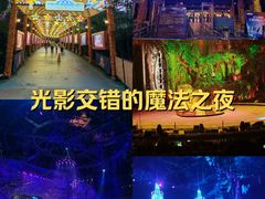-广州长隆国际大马戏