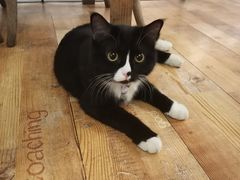 -么么咖啡(燕郊店)