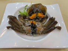 -王宝和酒家(黄浦店)