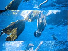 -海合安武汉极地海洋公园