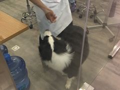 -PETKIT小佩宠物(古北店)