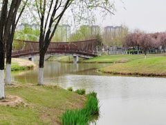 -西安浐灞国家湿地公园