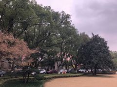 -浙江大学(玉泉校区)