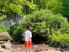 -重庆彩云湖湿地公园