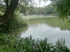 -人民公园(罗湖区)