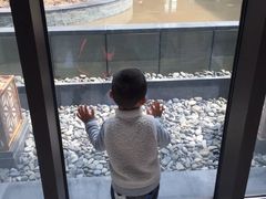 -上海崇明金茂凯悦酒店