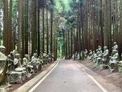 -武陵山森林公园