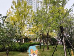 -青岛市市南区实验幼儿园(延吉路园)