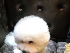 -红辣椒·川菜·火锅(张杨路店)