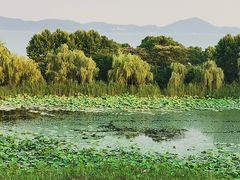 -上海市保健医疗中心