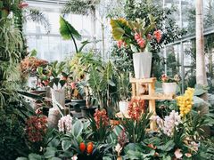 -国家植物园南园