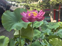 -长安寺