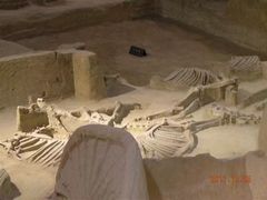 -洛阳周王城天子驾六博物馆