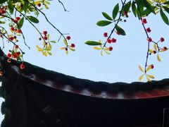 -东山雕花楼