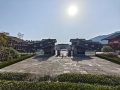 -大唐贡茶院