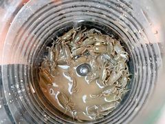 -南汇新城海滩