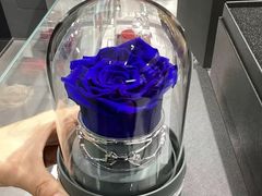 -ROSEONLY诺誓(国际广场购物中心店)