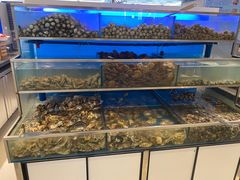 -海天一色海景自助餐厅(西港花园店)