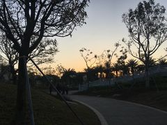 -宝安西湾红树林湿地公园